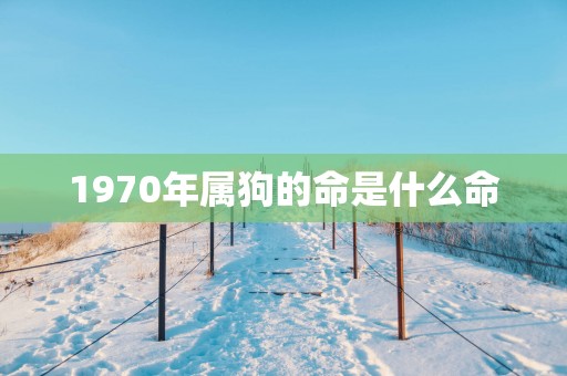1970年属狗的命是什么命 1970年属狗的命是什么命