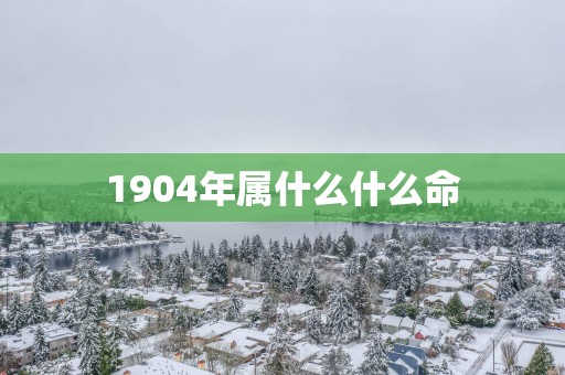 1904年属什么什么命