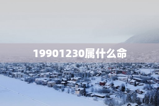 19901230属什么命