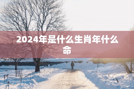 2025年是什么生肖年什么命