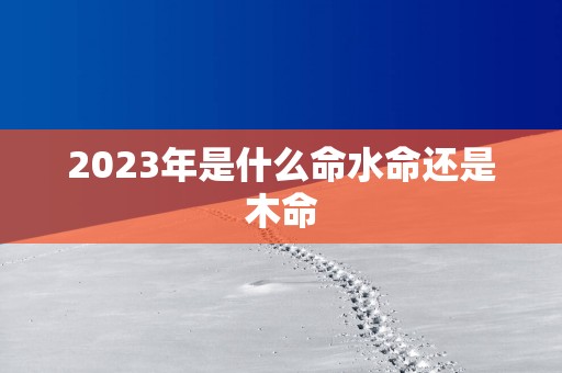 2025年是什么命水命还是木命