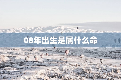 08年出生是属什么命