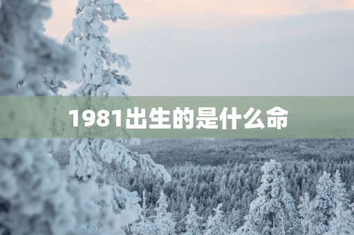1981出生的是什么命