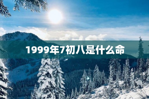 1999年7初八是什么命