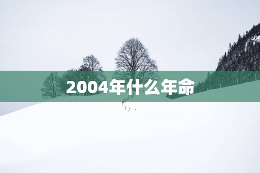 2004年什么年命