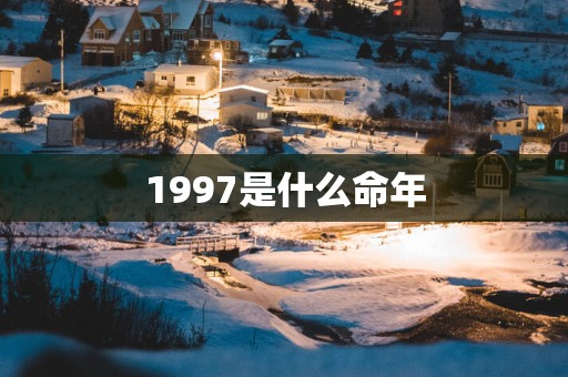 1997是什么命年