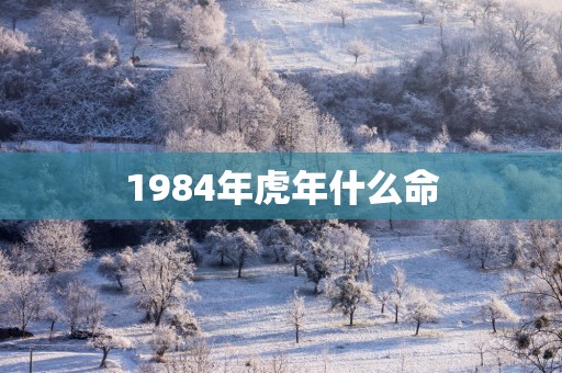 1984年蛇年什么命