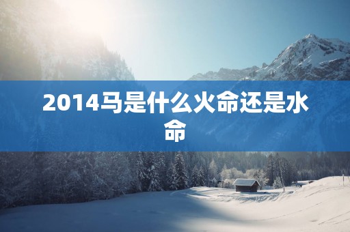 2014马是什么火命还是水命