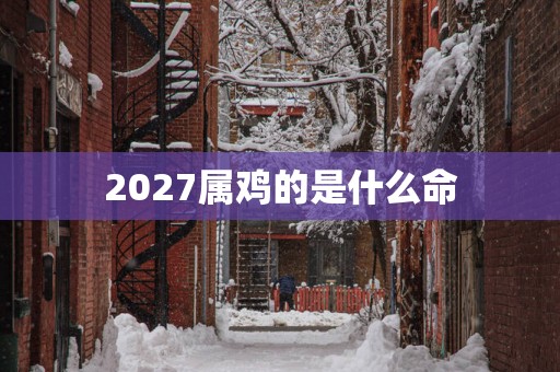 2027属鸡的是什么命