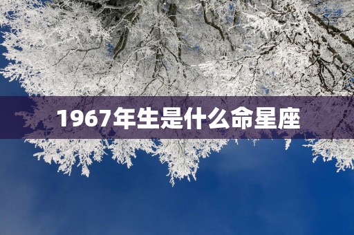 1967年生是什么命星座