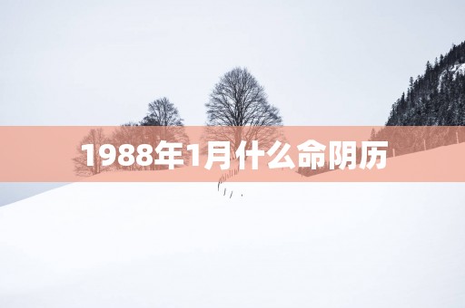 1988年1月什么命阴历
