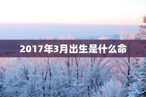 2017年3月出生是什么命