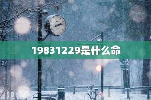 19831229是什么命