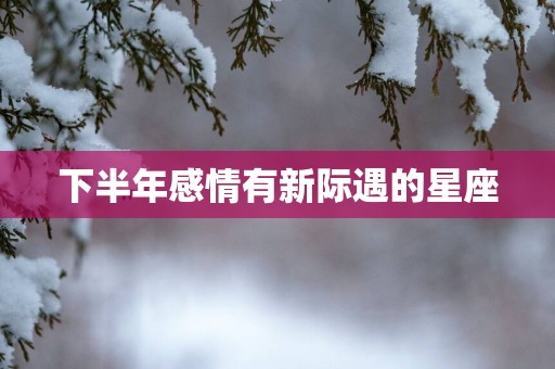 下半年感情有新际遇的星座