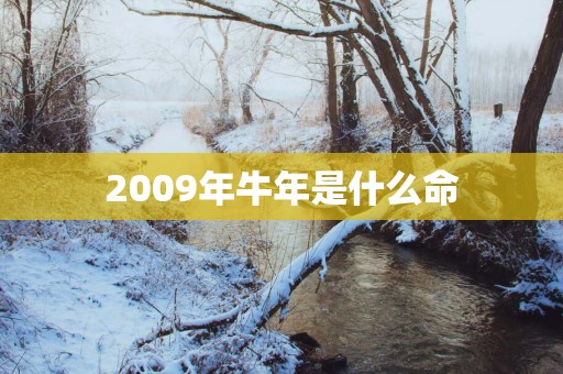 2009年蛇年是什么命