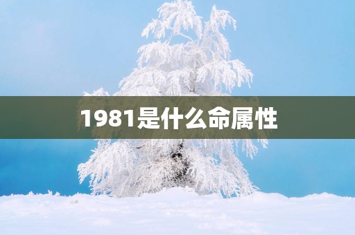 1981是什么命属性