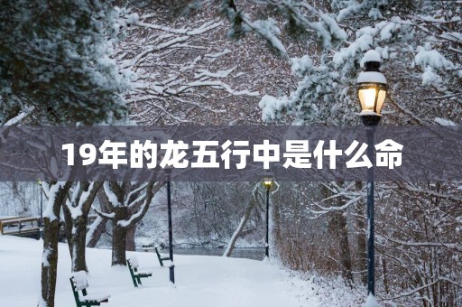 19年的龙五行中是什么命