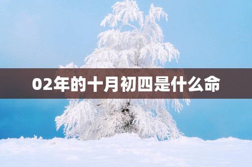 02年的十月初四是什么命