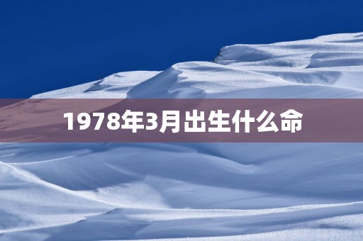 1978年3月出生什么命