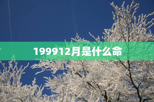 199912月是什么命 199912月是什么命
