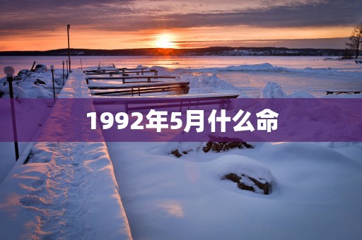 1992年5月什么命