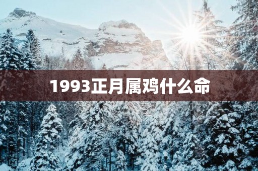 1993正月属鸡什么命