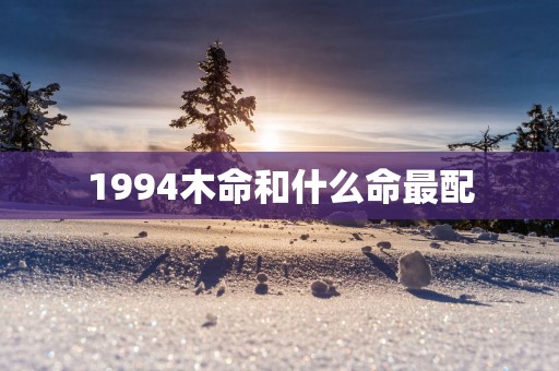 1994木命和什么命最配
