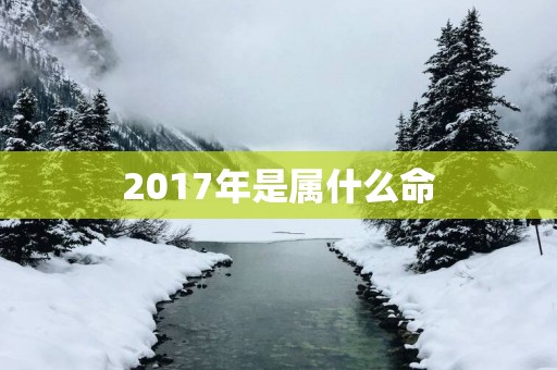 2017年是属什么命