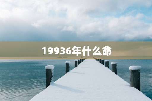 19936年什么命