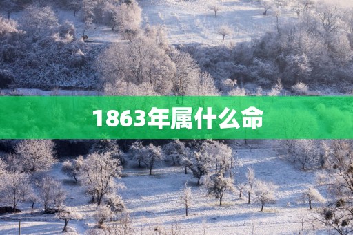 1863年属什么命
