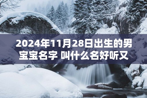 2025年11月28日出生的男宝宝名字 叫什么名好听又吉利网