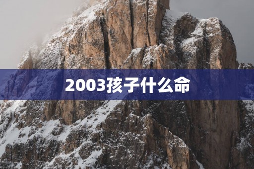 2003孩子什么命