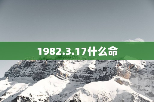 1982.3.17什么命