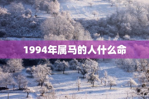 1994年属马的人什么命