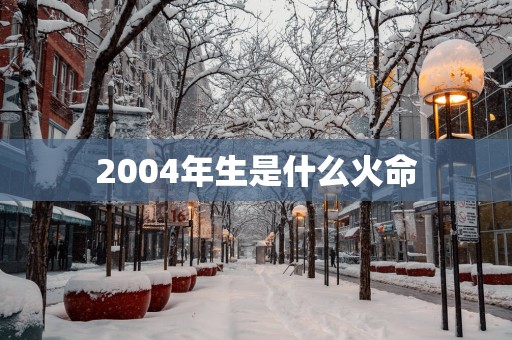 2004年生是什么火命