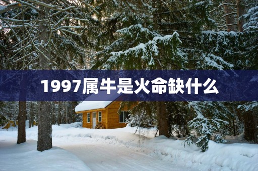 1997属牛是火命缺什么