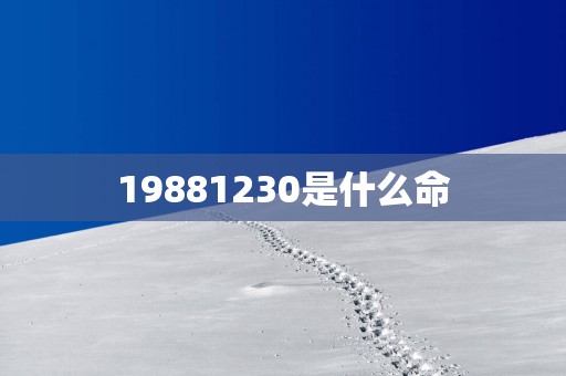 19881230是什么命