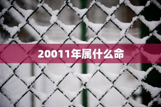 20011年属什么命
