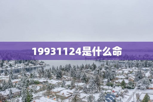 19931124是什么命