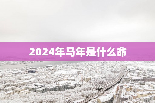 2025年马年是什么命