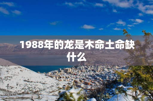 1988年的龙是木命土命缺什么