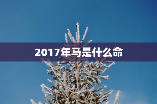 2017年马是什么命
