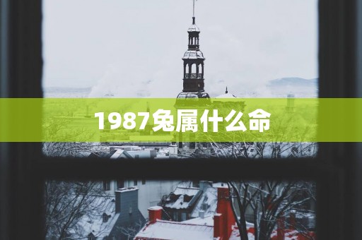 1987兔属什么命