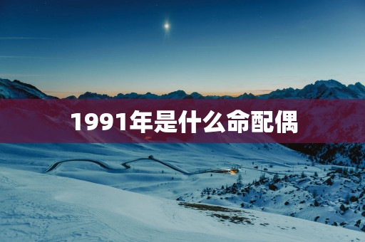 1991年是什么命配偶