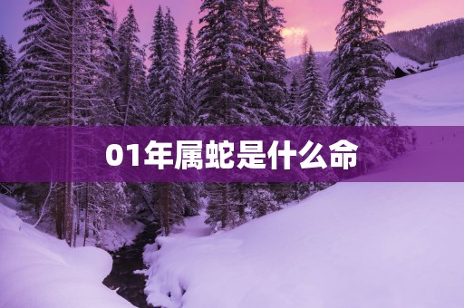 01年属蛇是什么命