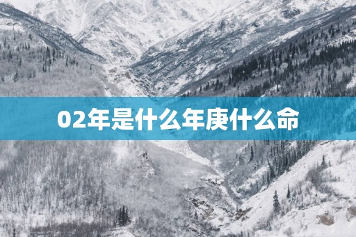 02年是什么年庚什么命