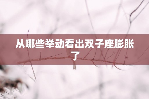 从哪些举动看出双子座膨胀了