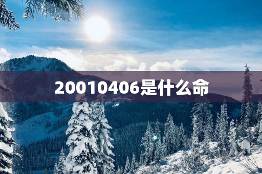 20010406是什么命