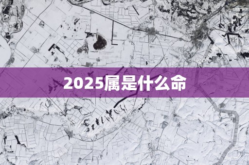 2025属是什么命