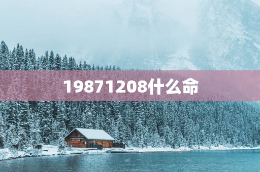 19871208什么命